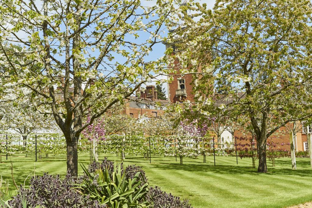 Tylney Hall Hotel Hook  Exterior photo